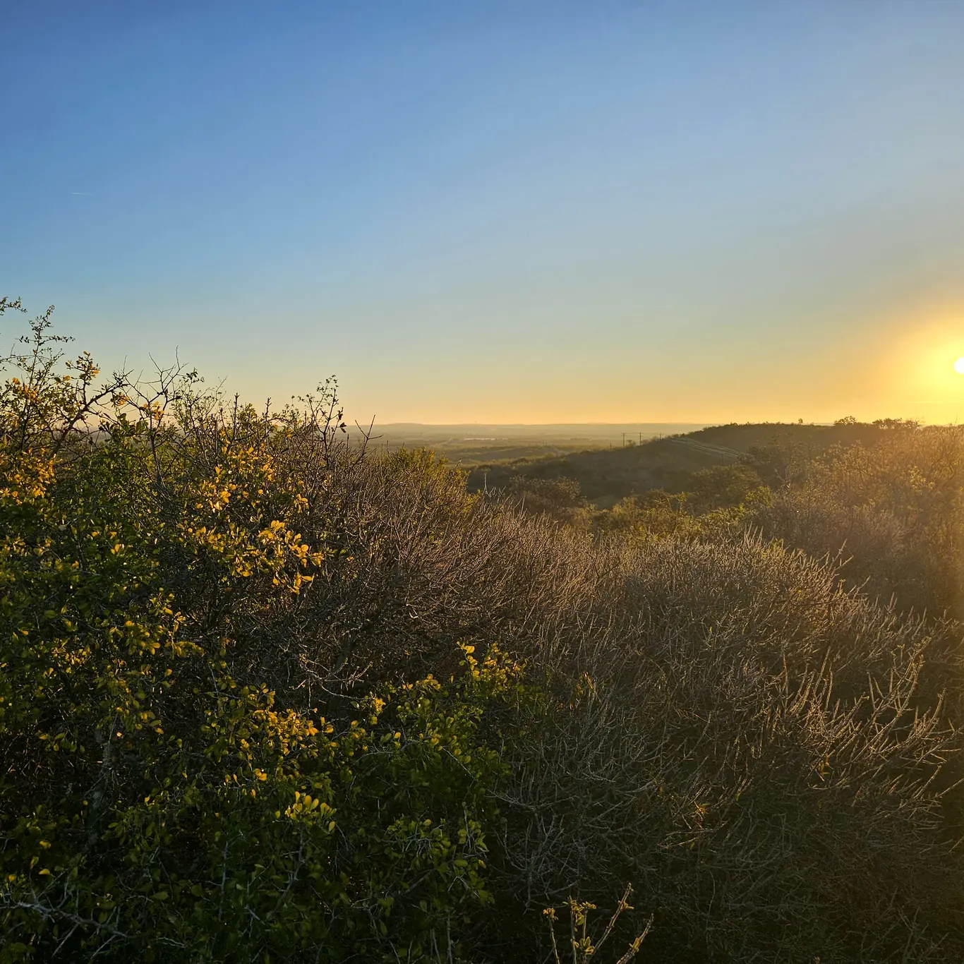 Sunrise over the hills of Medina Valley Ranch