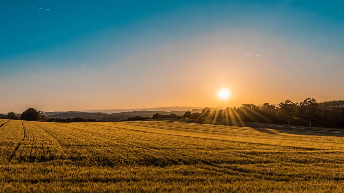 Texas Hill Country ranch landscape with rolling plains